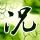 木棉花的春天
